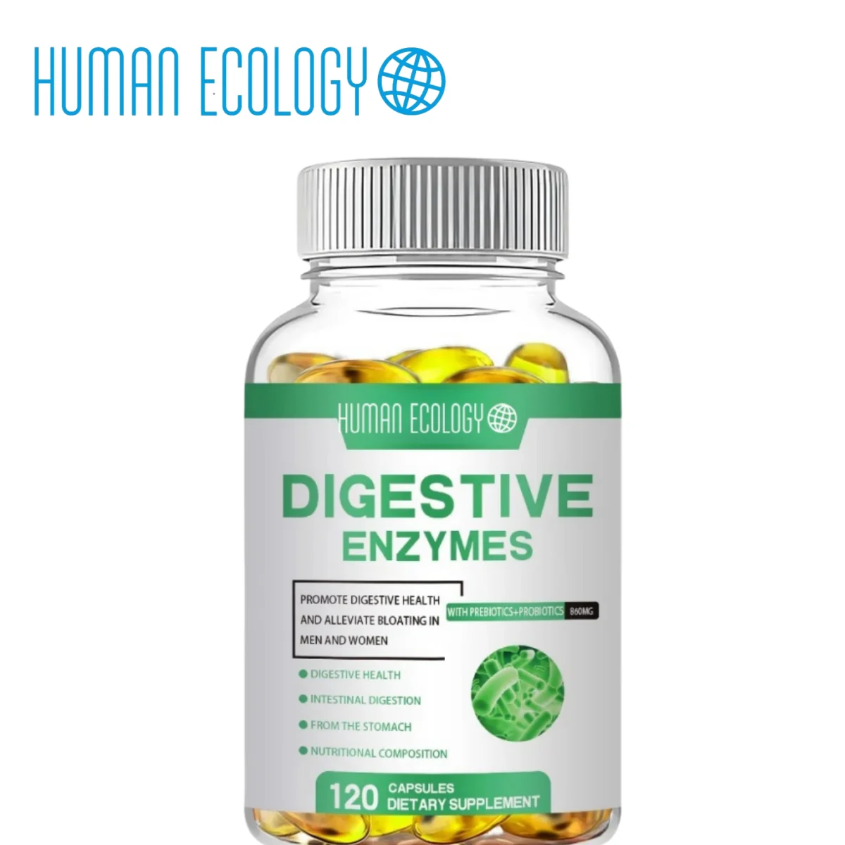 Digestive Enzyme Capsules Supports Healthy Digestion Pancreatic Enzymes Amylase Lipase Bromelain Lactase Papain Protease