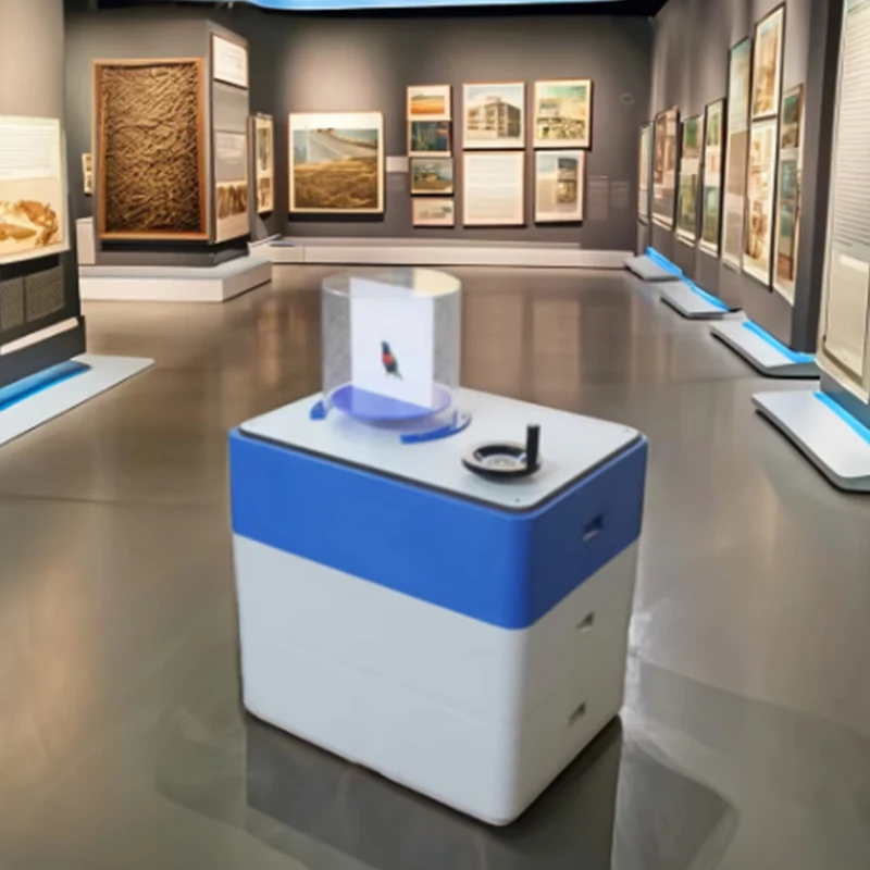 Jaula para pájaros, juego interactivo, accesorios de actividades, exposición científica, juegos científicos, juegos interactivos científicos