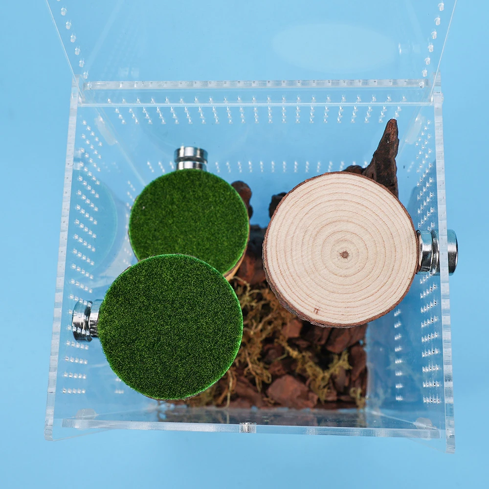 1PC Plataforma Magnética de Salto para Répteis, Decoração de Terrário de Madeira para Tarântulas, Geckos e Lagartos, Suprimentos para Enriquecimento do Habitat