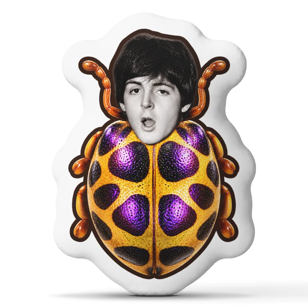 Beatled Music Paul McCartney Shaped Pillow Double-Sided Print Throw Pillows for Home Decor Gift Sofa Room Bed