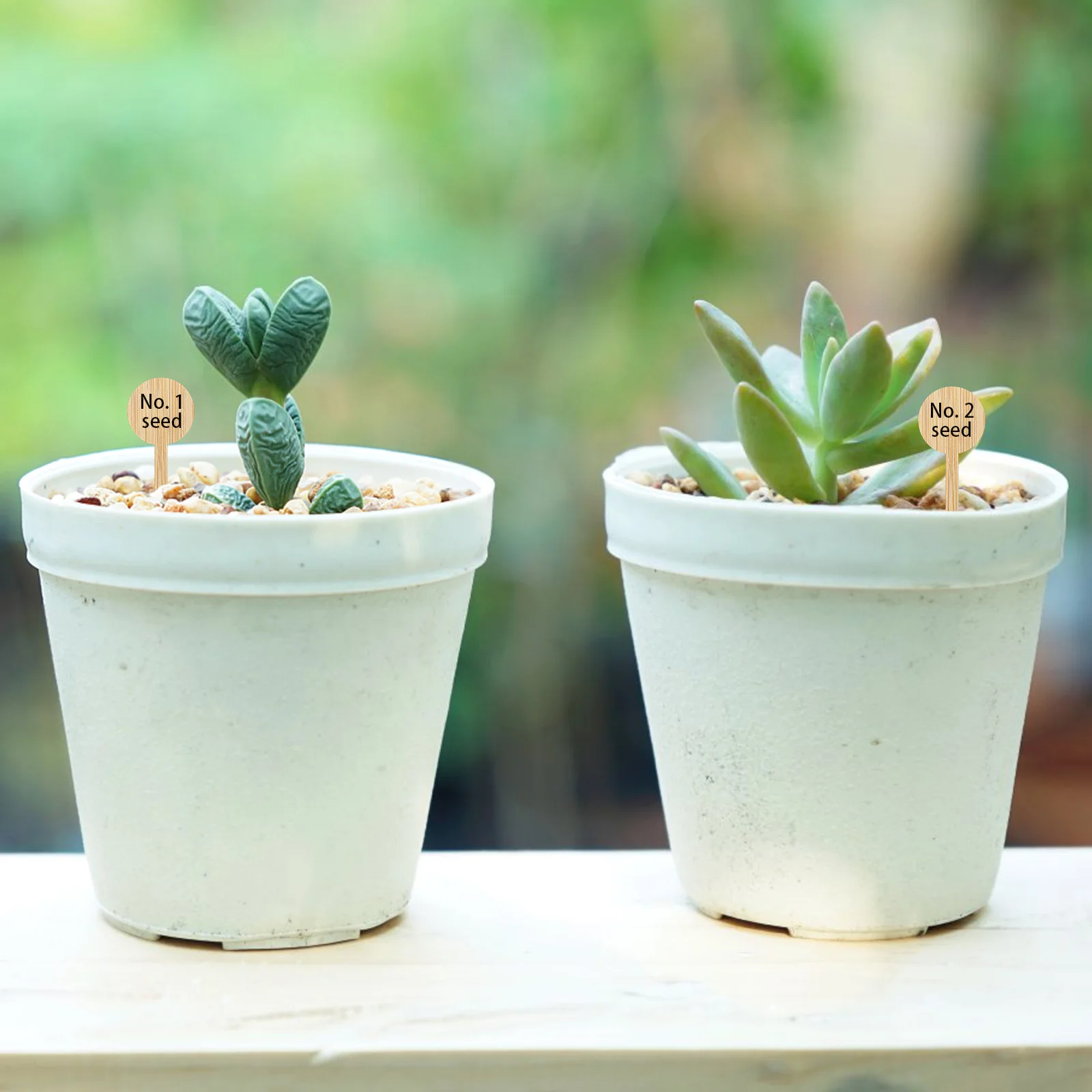 

20 pcs Gardening Signs Bamboo Plants Label Stake Indoor Herb Wooden Planting Thicken Seedling Plaque Ornaments DIY Fence