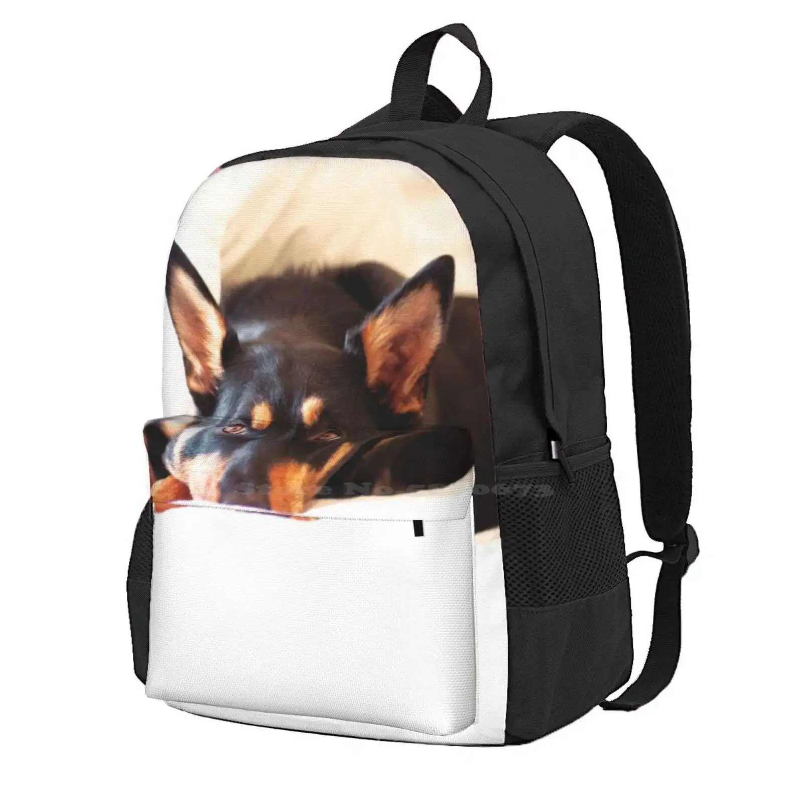 Awdri-mochila escolar con calendario, morral de moda, Awdri, australiana, perro de trabajo, rescate, ganado, Kelpie, gran oferta, 2013-Febrero