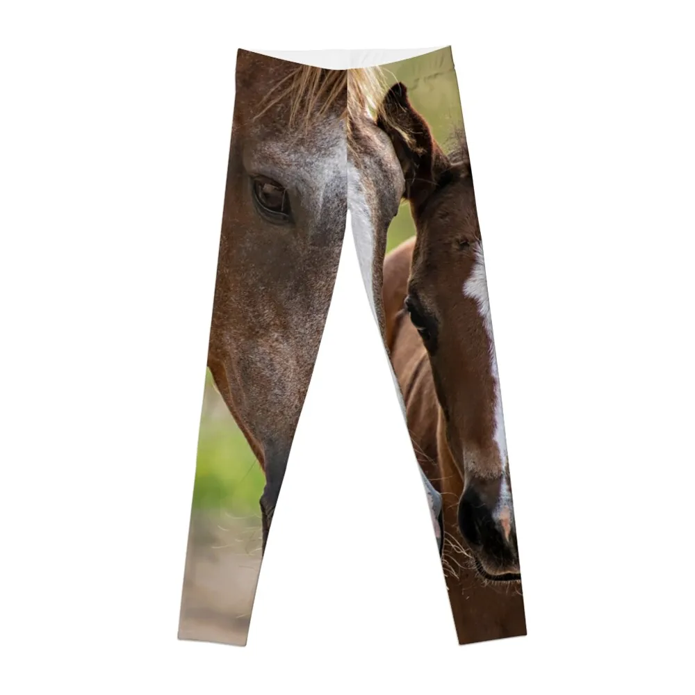 Horse Family Leggings Women's fitness sports tennis for high waist exercise clothing for Womens Leggings