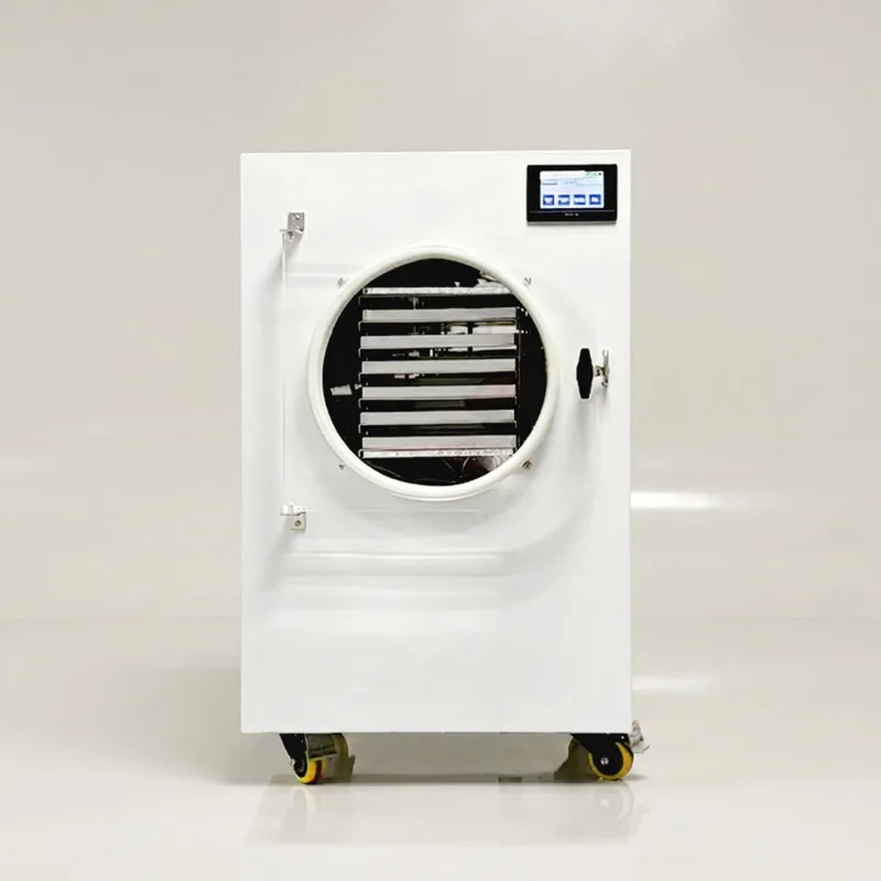 Advanced PLC Control Energy Saving SUS304 10kg/batch Vacuum Freeze Dryer Medium Capacity Lyophilizer High Food Processing
