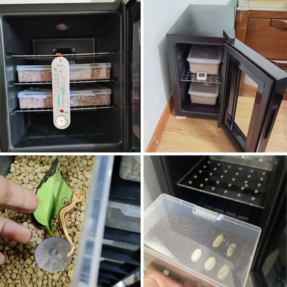 حاضنات البيض المخصصة OEM مناسبة لحاضنة الحيوانات والزواحف.