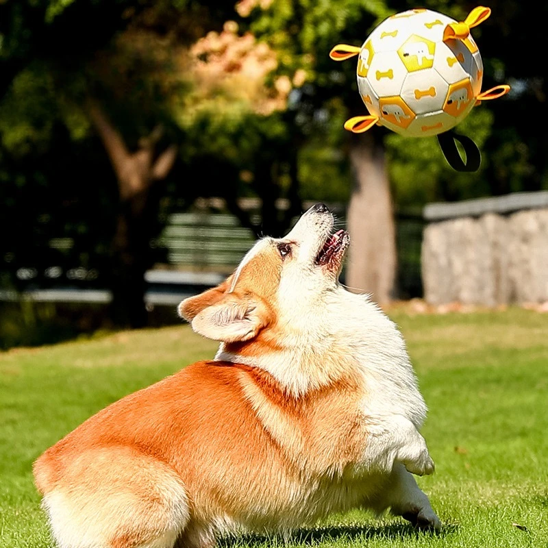 Pet Toy Ball Dog Outdoor Toy Grinding Teeth Bite Resistant Sound Inflatable Football Pet Dog Training Wholesale Pet Supplies