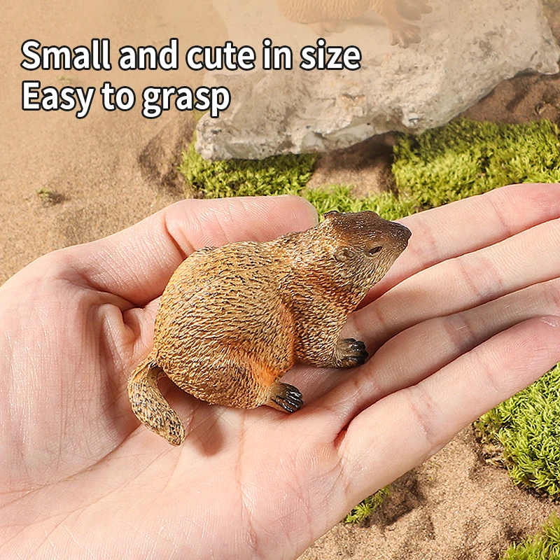 สัตว์ป่าจำลอง หนูตัวใหญ่ โมเดลแอ็คชั่นฟิกเกอร์ ของสะสม ตุ๊กตาน่ารัก ของเล่นเด็ก