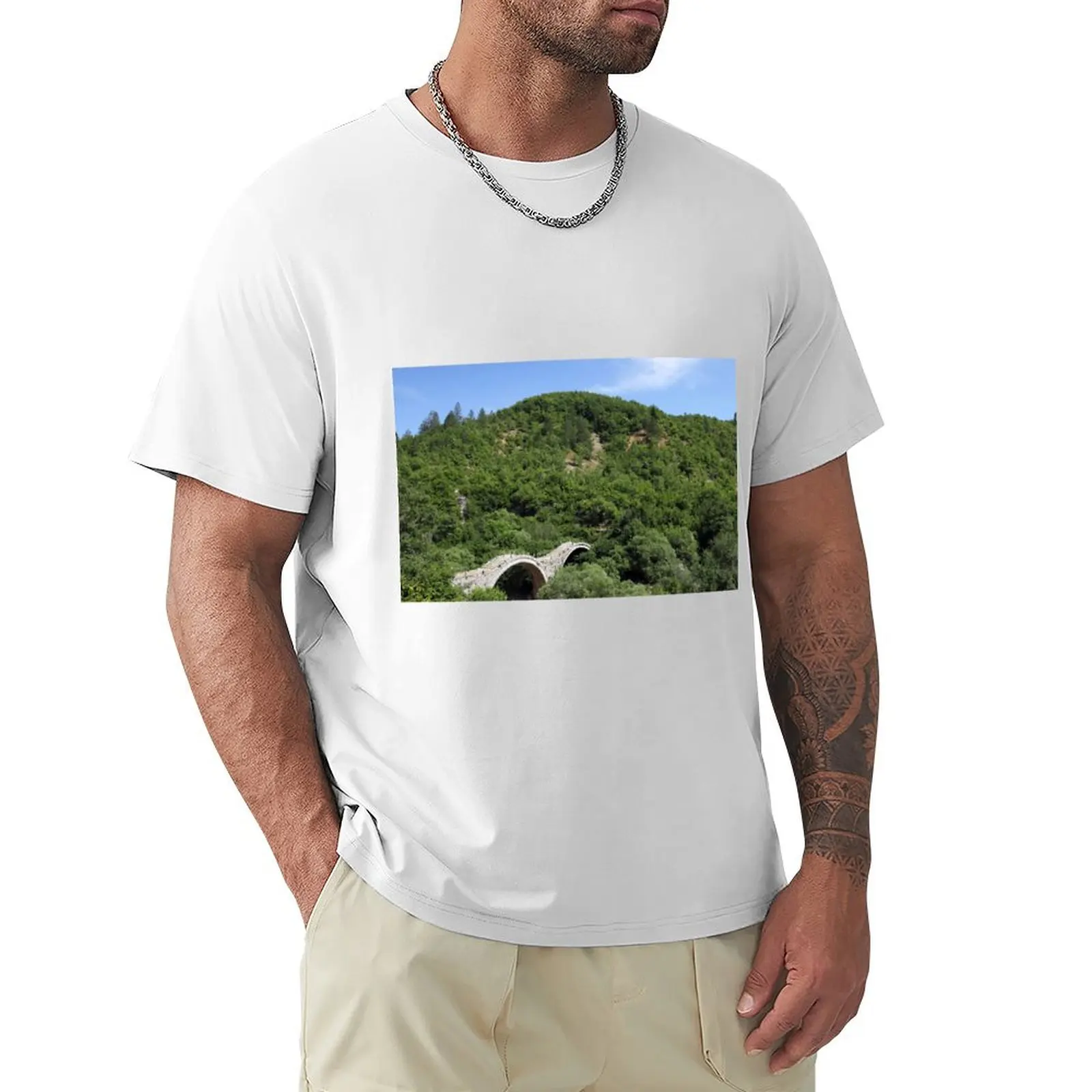 Kalogeriko stone bridge on Vikos gorge Zagoria landscape T-shirt Blouse boys animal print animal prinfor boys mens t shirt