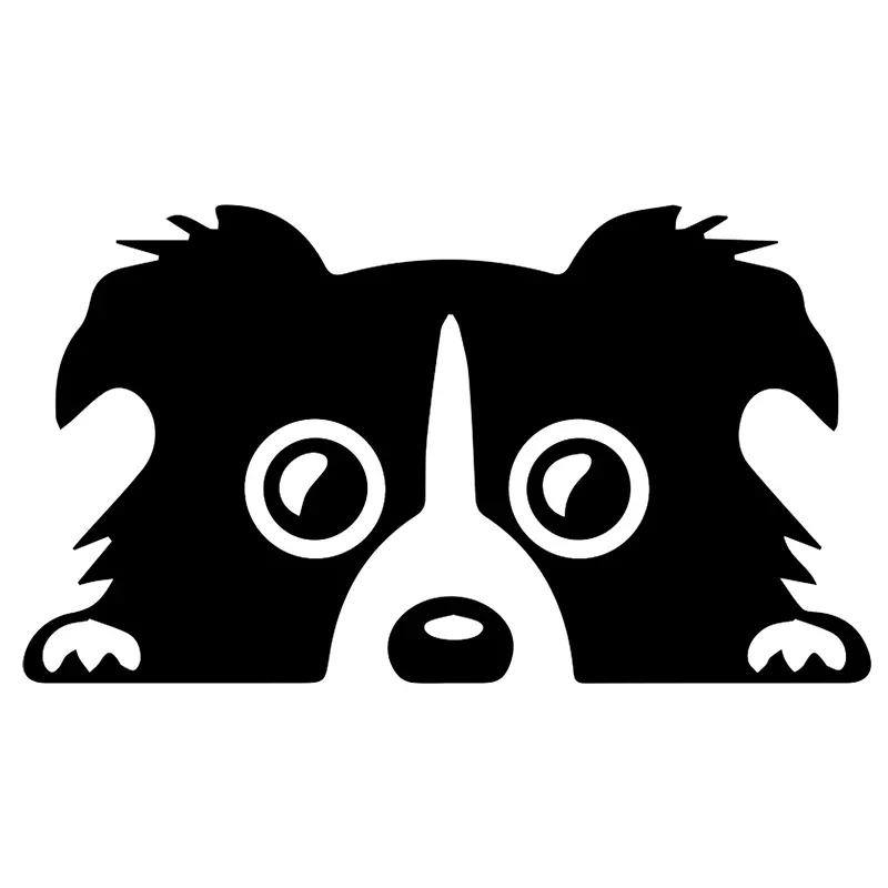 Personality Customization For Border Collie Car Stickers Graffiti Decal Windshield Waterproof Sticker Occlusion 13cm X 12.3cm