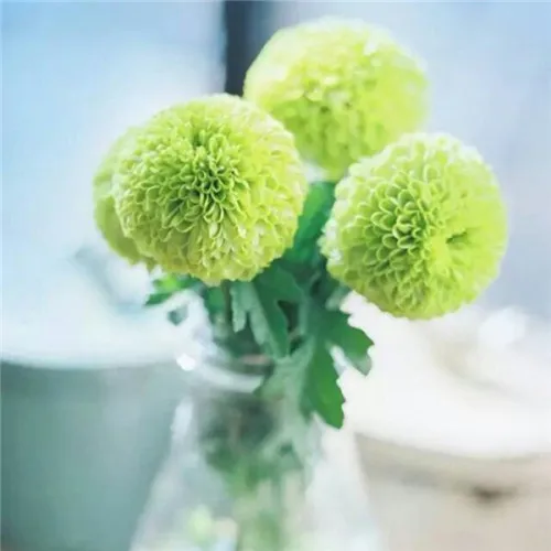 

4Pcs 118mm 1/10 Short Course Truck Tire Tyre with 12mm 14mm 17mm Wheel Hex for Trxs Slash ARRMA SENTON HSP HPI RC Car