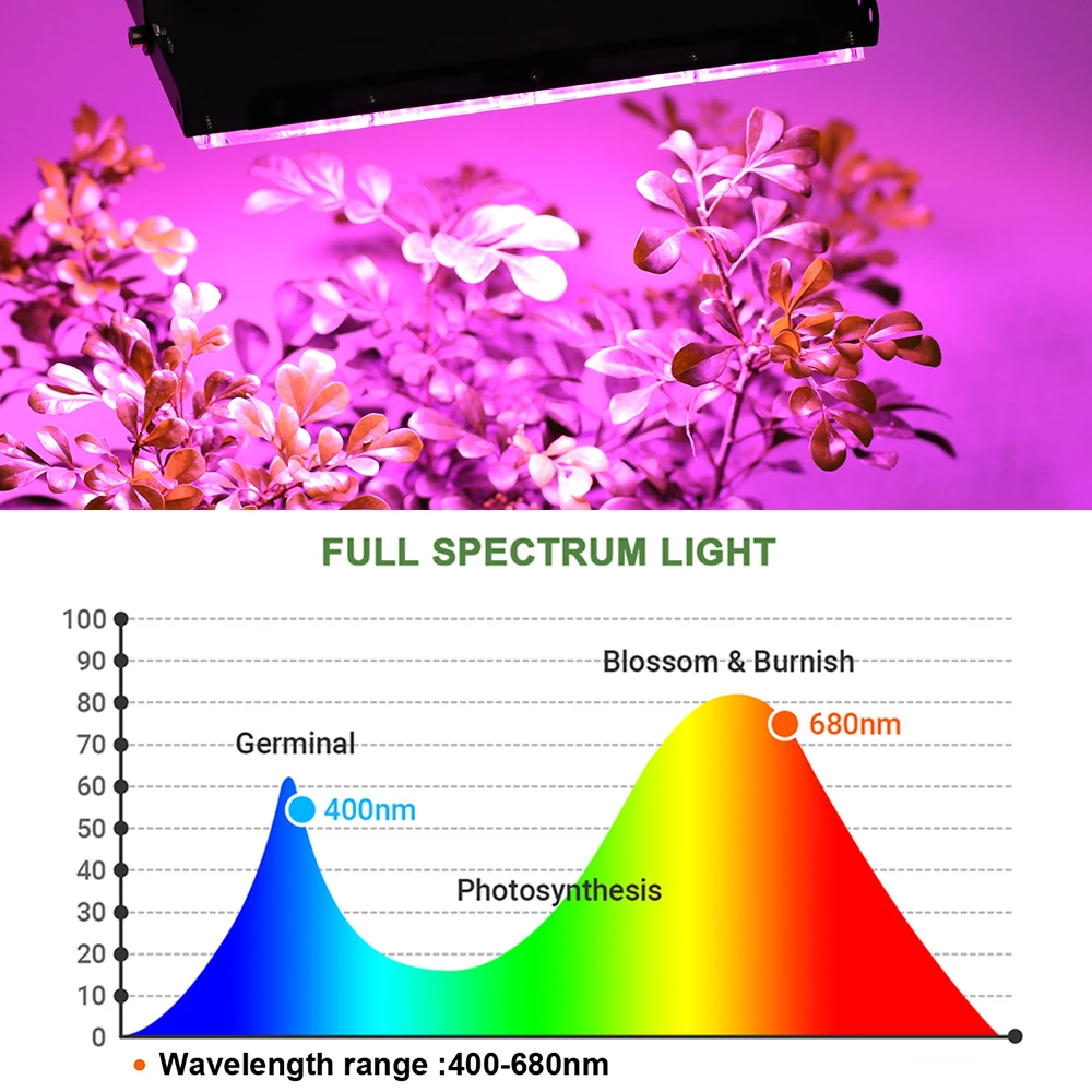 Full Spectrum LED Grow Light PhytoLamp For Plants Tent Flower Seeding USB 5V Switch Dimming Range Lamp Floodlight Grow Phyto Box