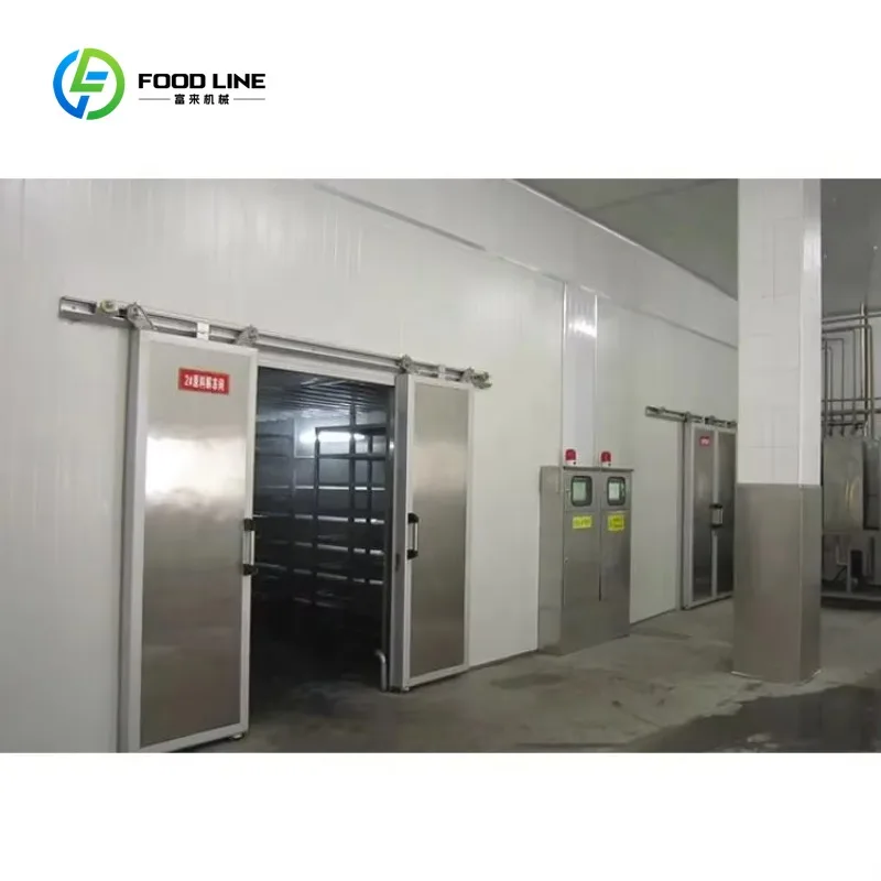 Customized Professional Seafood Thawing Room Frozen Vegetable Thawing Machine Cabinet Type Defrosting Room