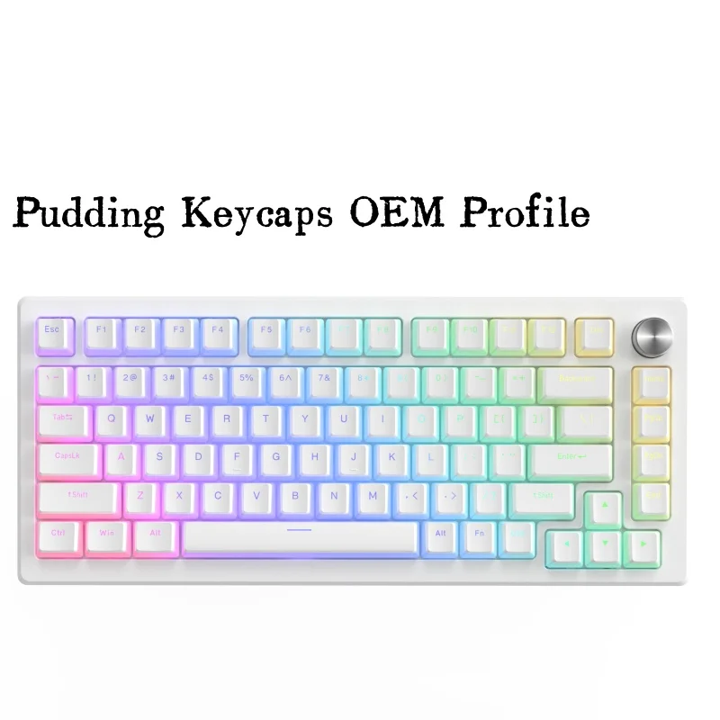 

XVX Pudding Keycaps for Mechanical Keyboard PBT OEM Key Caps DIY Keycaps Switch Gaming 165-key