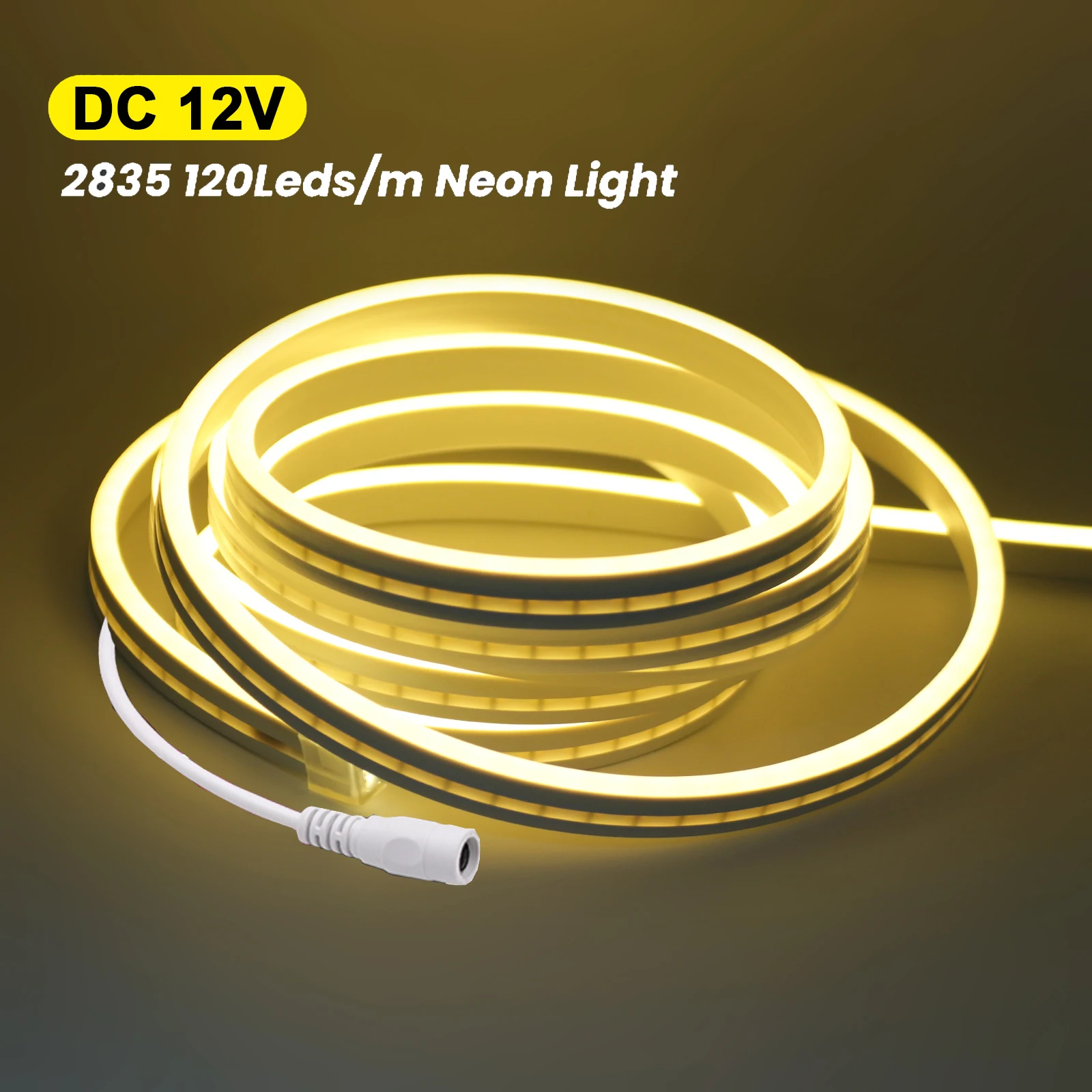 DC 12V LED-Neonlichtstreifen 120 LEDs/M Wasserdichtes Neon-Silikon-Seillicht Flexibles Licht mit DC-Stecker 3000K 6000K für Küchen- und Schlafzimmerdekoration