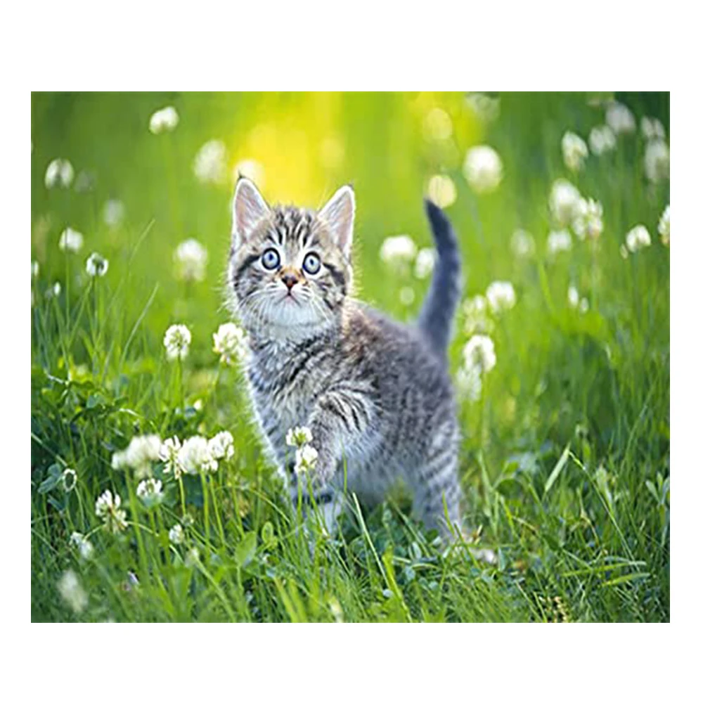 LZAIQIZG 5D Diamond Painting A Kitten Picking Flowers Square/Round Diamond Cross Stitch Kit Embroidery Picture  Home Decoration