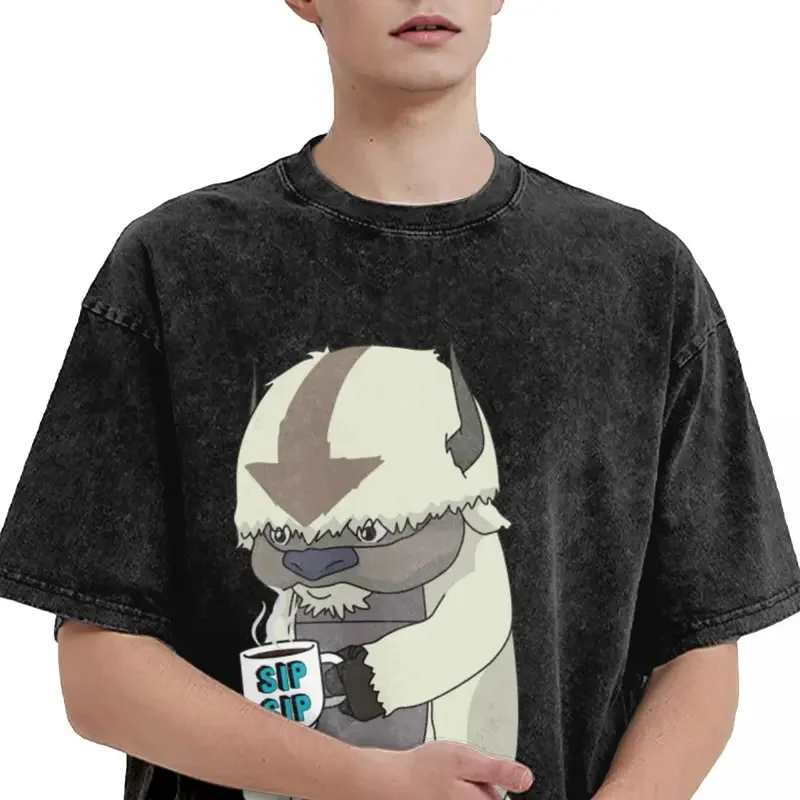 Appa sip sip avatar die letzten air bender t-shirts hip hop gewaschen harajuku t-shirt vintage männer tops streetwear bedrucktes t-shirt