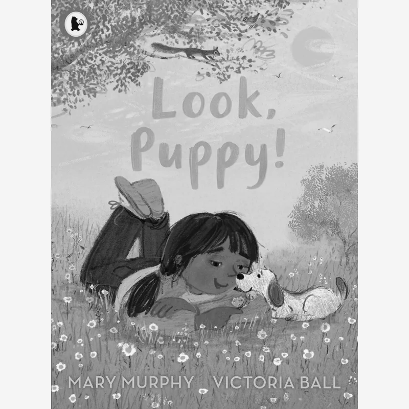 

Книга Look Puppy Mary Murphy Walker, Великобритания, 9781529501391
