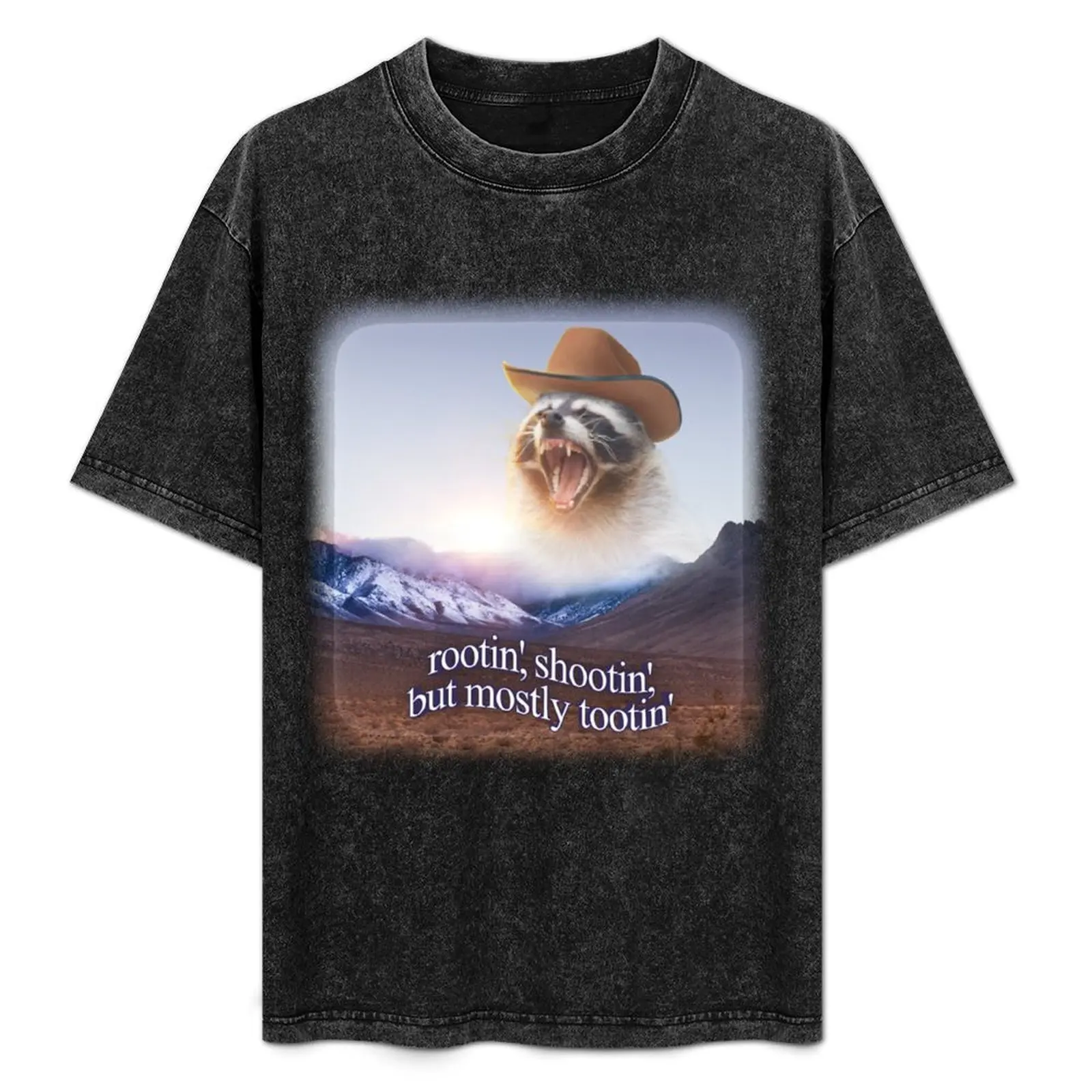 rootin shootin but mostly tootin cowboy raccoon word art T-Shirt for a boy quick-drying t shirts men