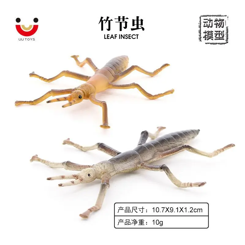 Simulated wild insect animal model Stick insect Slub whip insect children's early education cognitive ornament toy figure