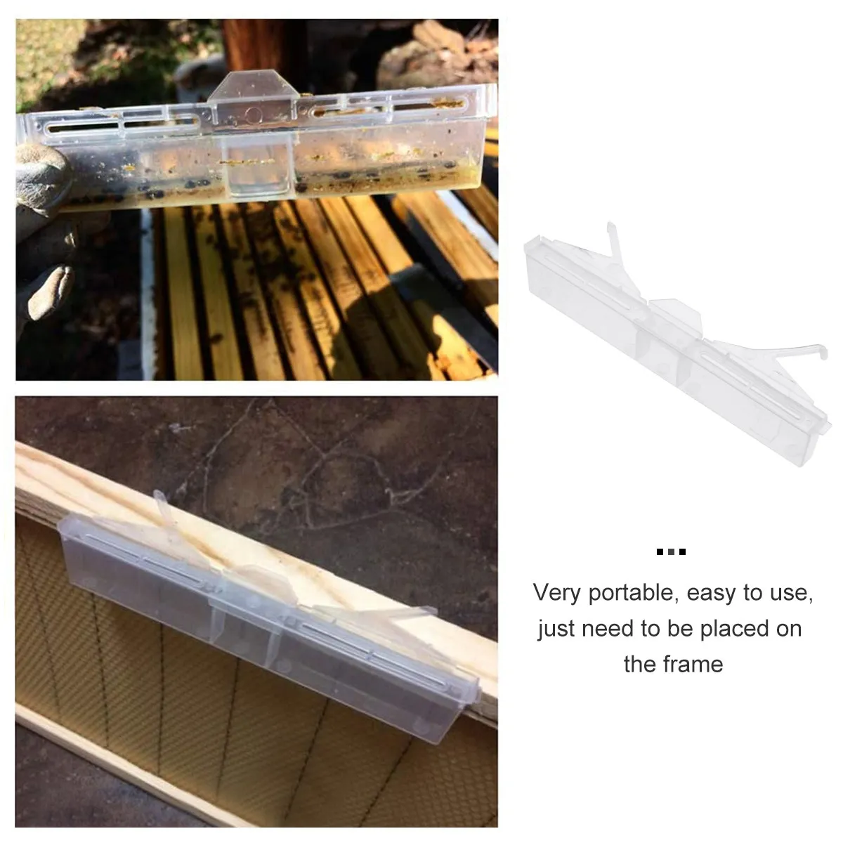 12pcs Reusable Plastic Beetle Trap for Bee Hive Tools Insect Control Eco Friendly Pest Management Gardening Supplies
