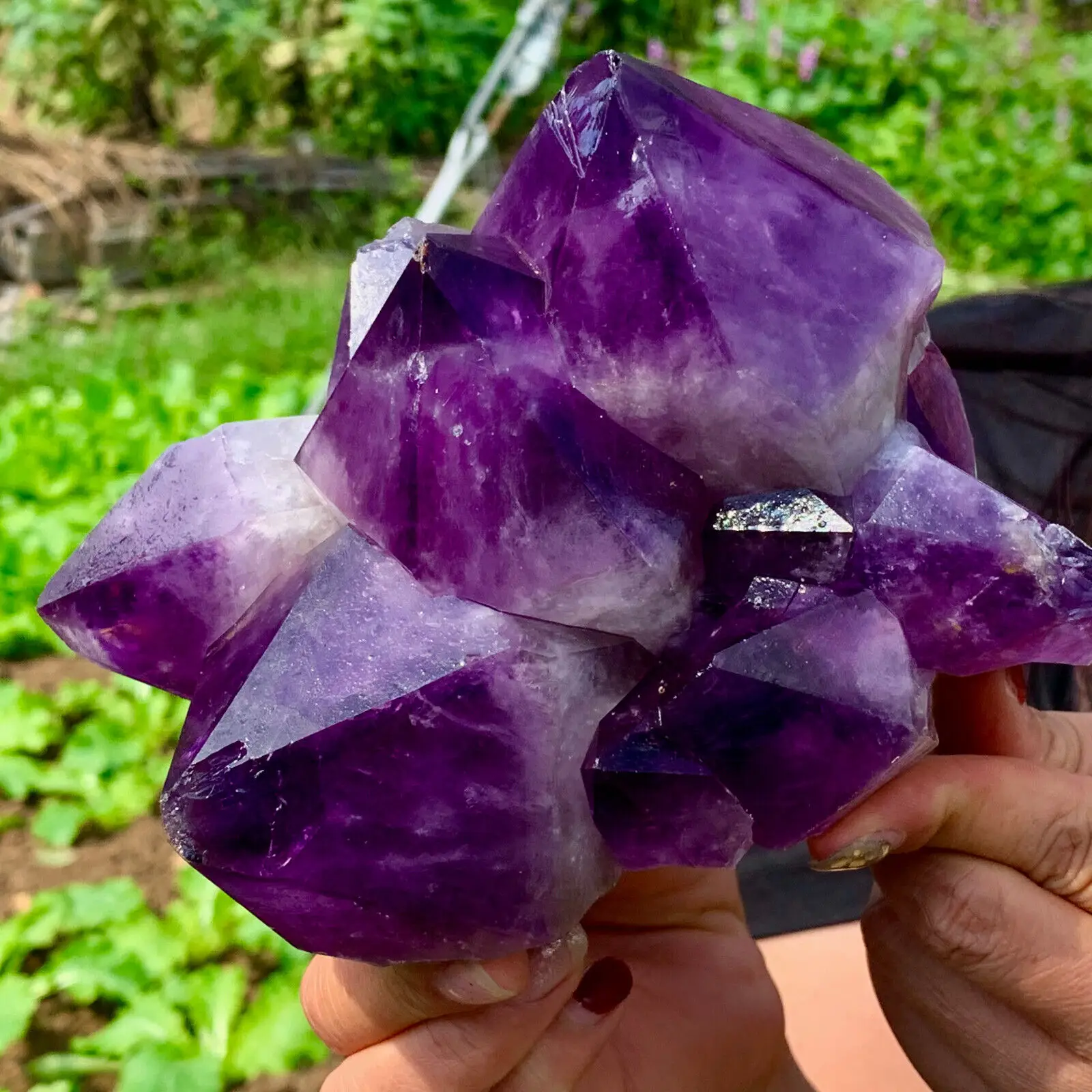 

Natural Purple Backbone Crystal Cluster Quartz Energy Ore Crystallized Office Decoration Gift Mineral Healing Wealth