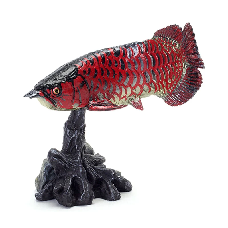 BANDAI Anime Fish Ancient Ocean Asian Arowana Biological Encyclopedia Gashapon Christmas Gifts Genuine Action Figure Model Toys