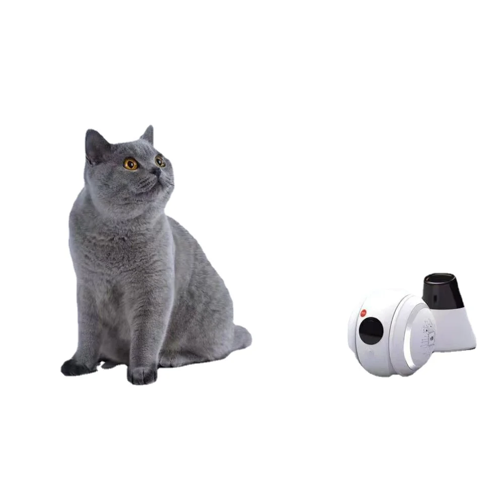 

Smart Interactive Pet Toy Dog Cat with HD camera video communication Puppy Automatic pet mate robot ball