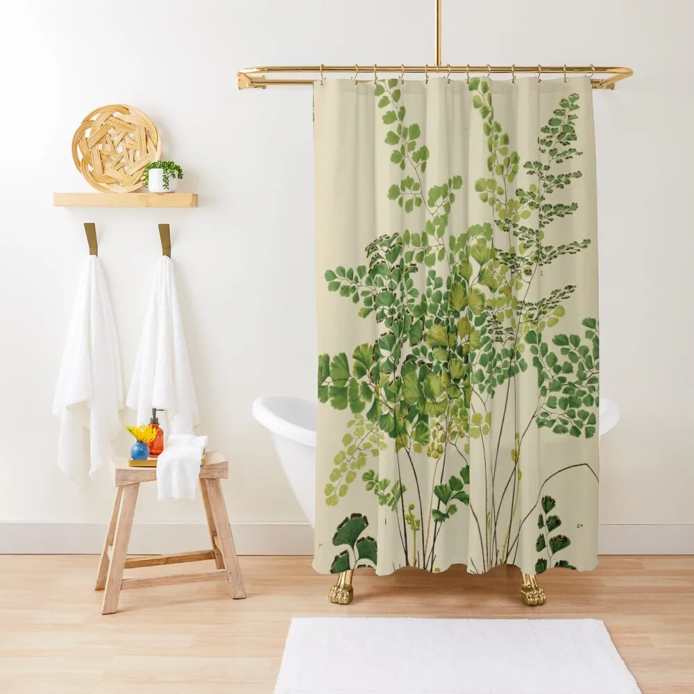 

Maidenhair Ferns Shower Curtain For Bathroom Shower For Bathroom Bathroom Box Modern Accessories Curtain