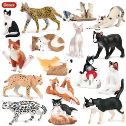 Oenux Simulation Cute Cat Model Action Figures Kitty Sphynx Persian Figurines Miniature Lovely Home Decoration Kid Education Toy