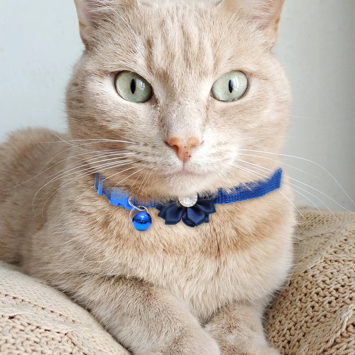 

Floral Necklace Pet Outfit Accessories Fashion Bell Collar Flower Neckchain Elegant