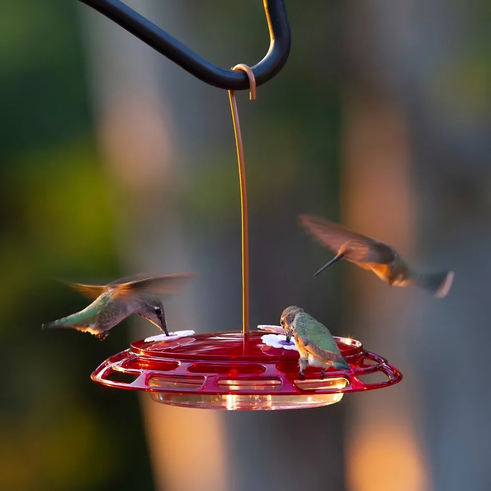 3 in 1 Hummingbird Feeder with 6 oz Nectar Red Glass Bottle Garden Outdoor Decor - view 2