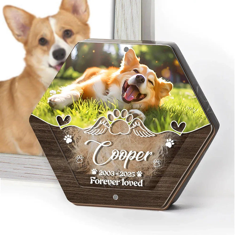 Personalized Name Wooden Carving Pet Hair Storage Box Pet Supplies Custom Dog Save Teeth Memorial Boxes Pet Lost Memorial Gifts