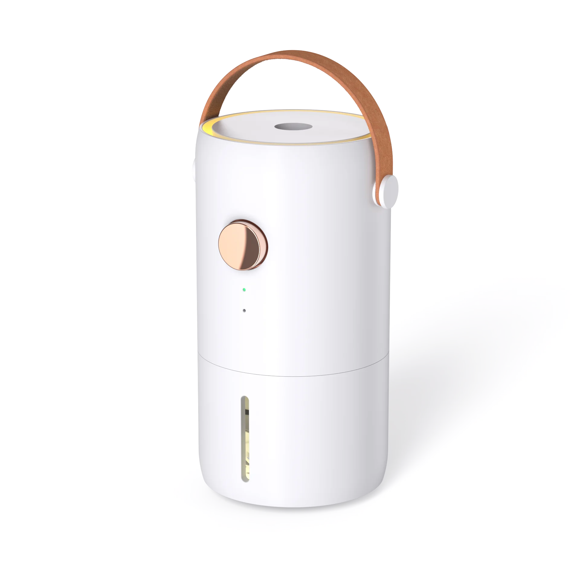 Diffuseur électrique anti-moustiques pour liquide anti-moustiques à la perméthrine NTM DMP, chauffe-