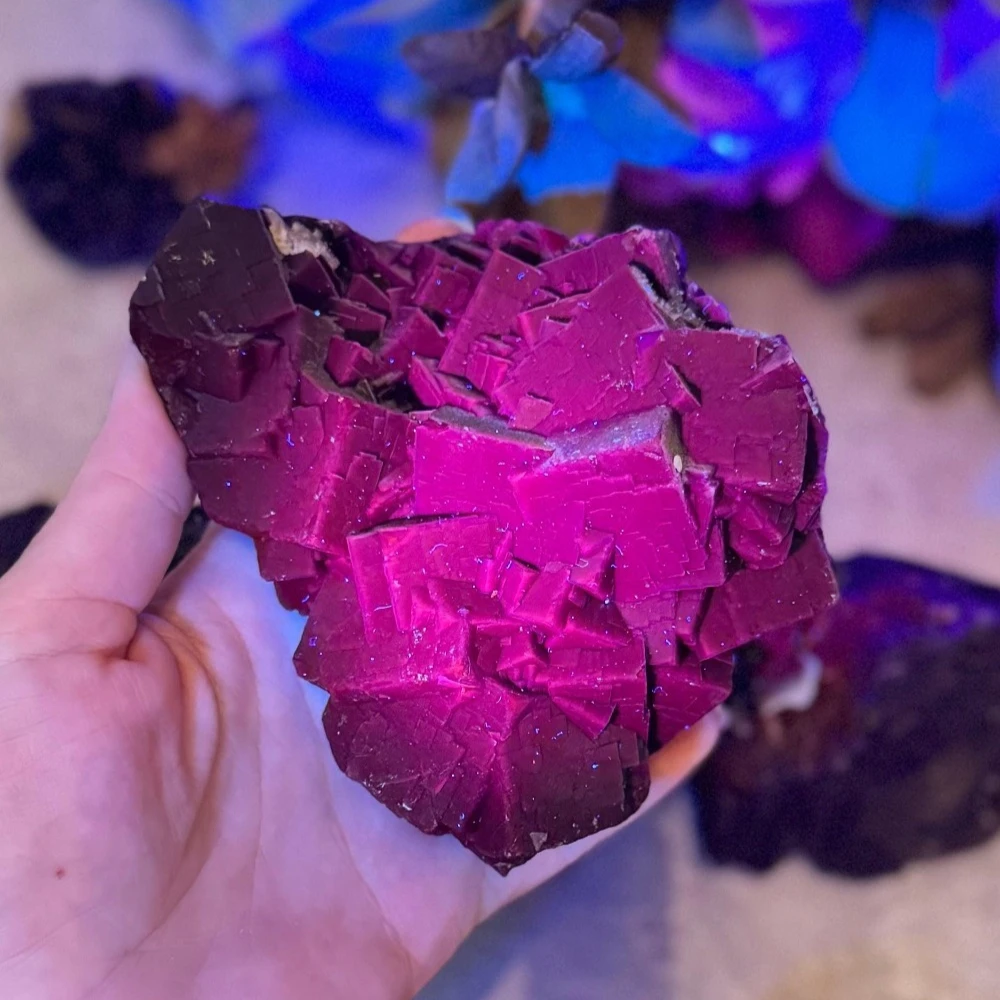 Picture 3: Natural UV Reactive Black Rose Fluorite Bohemian Home Office Decor Gift for Christmas Thanksgiving Valentine'S Day Holiday