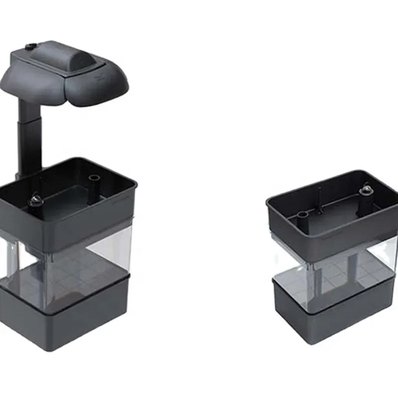 

Eco-friendly plants potted plants