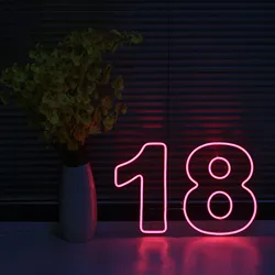 Enseigne au néon LED avec numéro 18, lettres murales, lampe de nuit pour chambre, décor de fête de vacances, anniversaire, cadeau de Noël