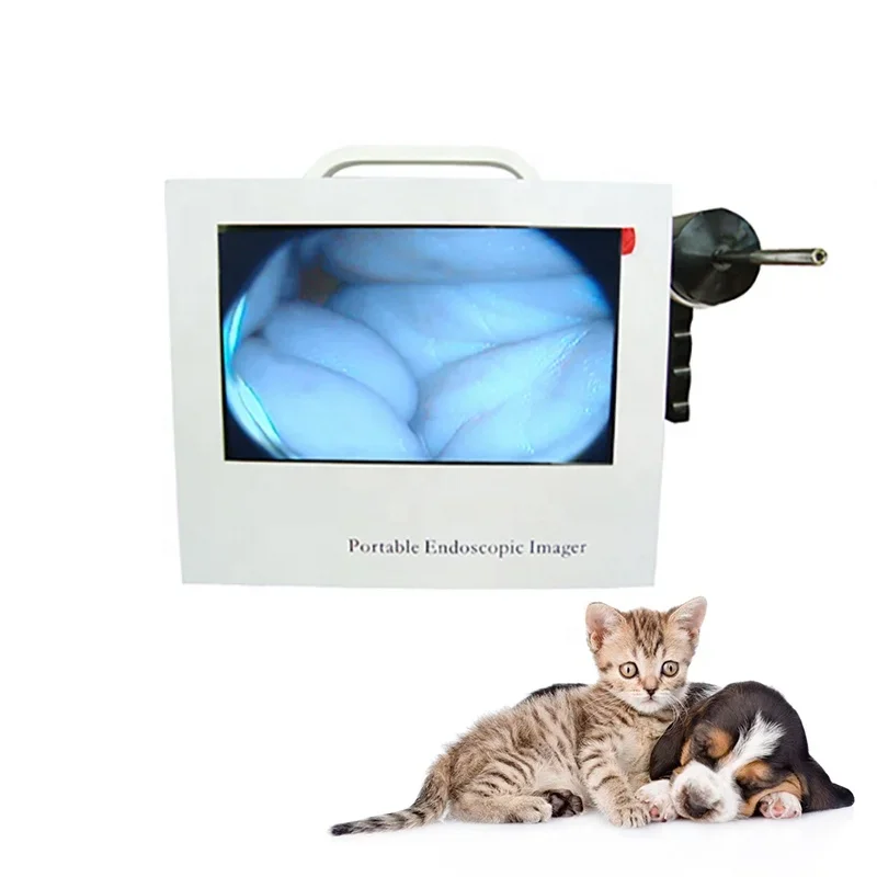 Pets Ophthalmology Surgical Instruments Reusable Ear Speculums Otoscope Visuel Medical ENT Ear Cone Video Otoscope Veterinary