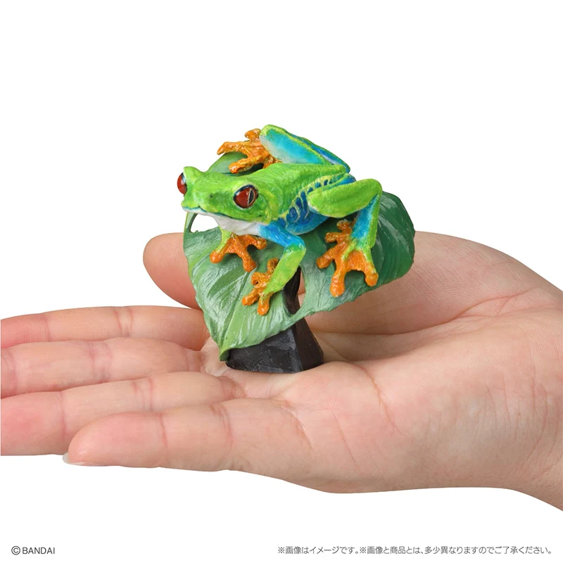 Figuras de Animales Anfibios Realistas de Bandai Namco, Originales, en Existencia, Vol.2, Juguetes de Cápsula Gachapon, Modelo de Salamandra con Cuernos