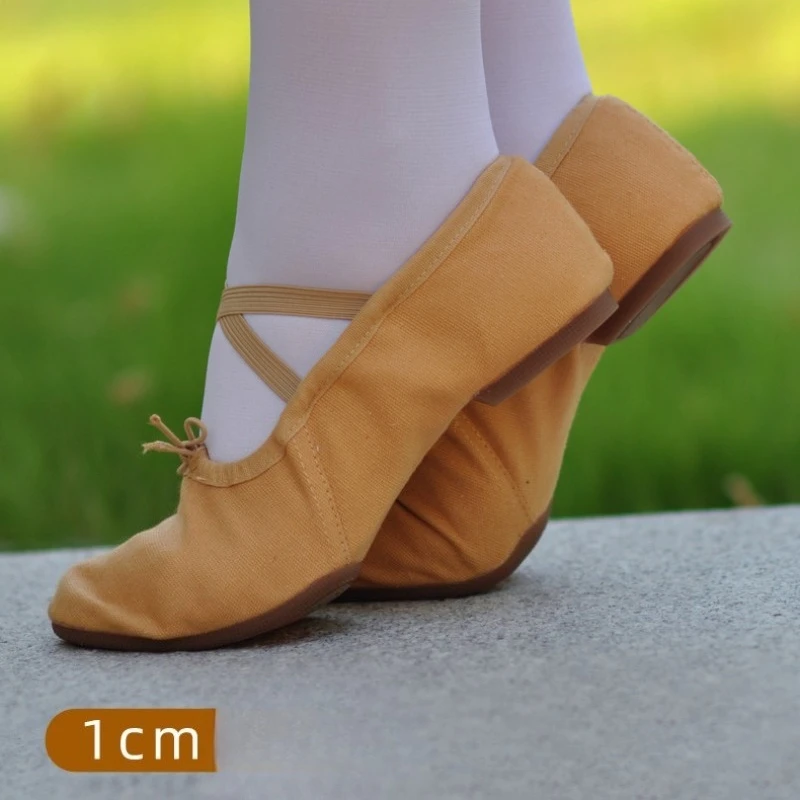 Scarpe da ballo professionali Scarpe da danza del ventre latino con suola morbida da donna Tacco medio per adulti Suola in gomma per esterni