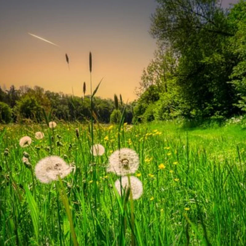 

4 шт. 125 мм 1/10 для шин и колес Monster Truck Hex 12 мм для Trxs Tamiya Kyosho HPI HSP Savage XS TM Flux LRP