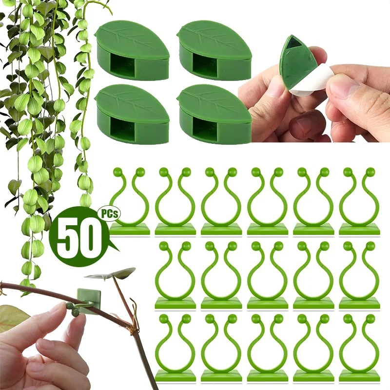 10-50PCs Plant Climbing Wall Fixture Clips Acrylic Sticker Self-Adhesive Hook Plant Vine Traction Holder Indoor Outdoor Decor