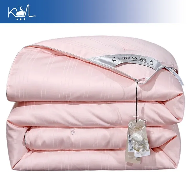 Premium Handmade Mulberry Silk Comforter | Thickened Warm Quilt for Spring Autumn Winter All Season Use