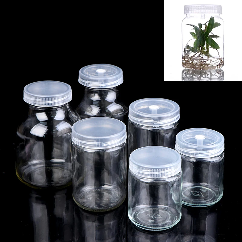 Plants Glass Jars For Bottle Seedling Tissue Culture High Temperature Resistance