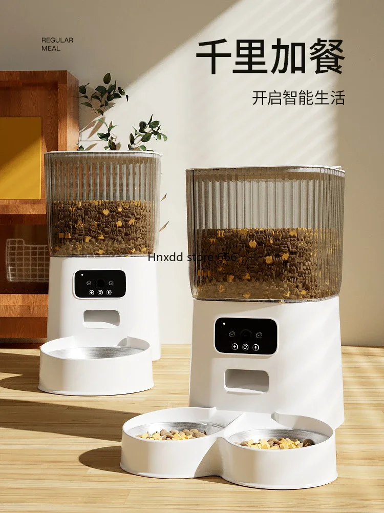 Automatic cat feeder