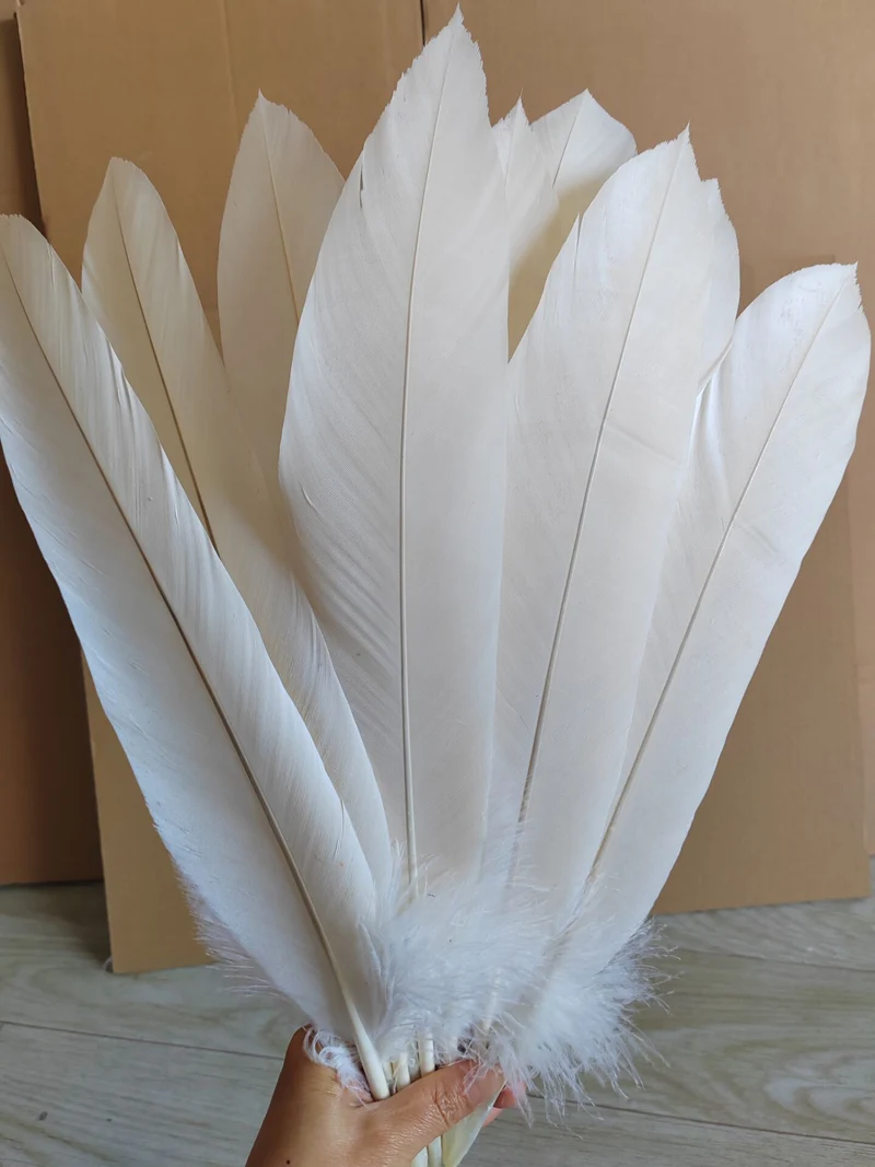 

10pc Rare White Eagle Feathers length 35-45cm/14-18 inch DIY Horse Eagle Feather Ornament Decoration Handicraft Specimen Feather