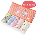 Style101---BOX PACK
