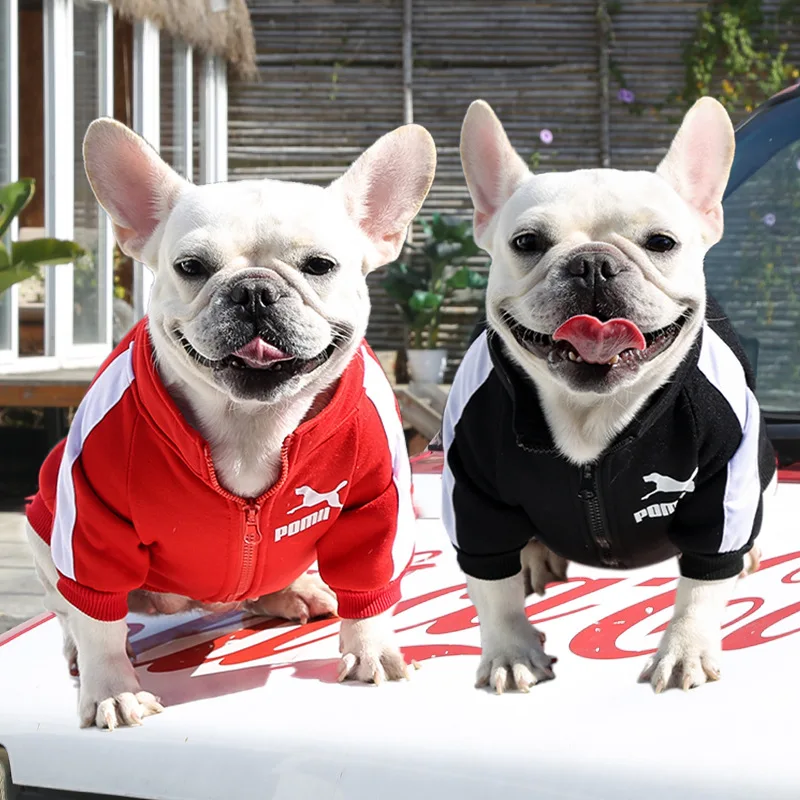 Designer Winter Pet Dog Sweatshirt Clothes for Small Medium Dogs,Warm Fleece Zipper Dog Jacket,Chihuahua French Bulldog Jacket