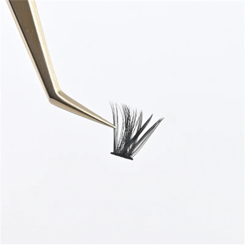 Grafting & Blooming Eyelash – Exclusive Product for Professional Eyelash Beauticians