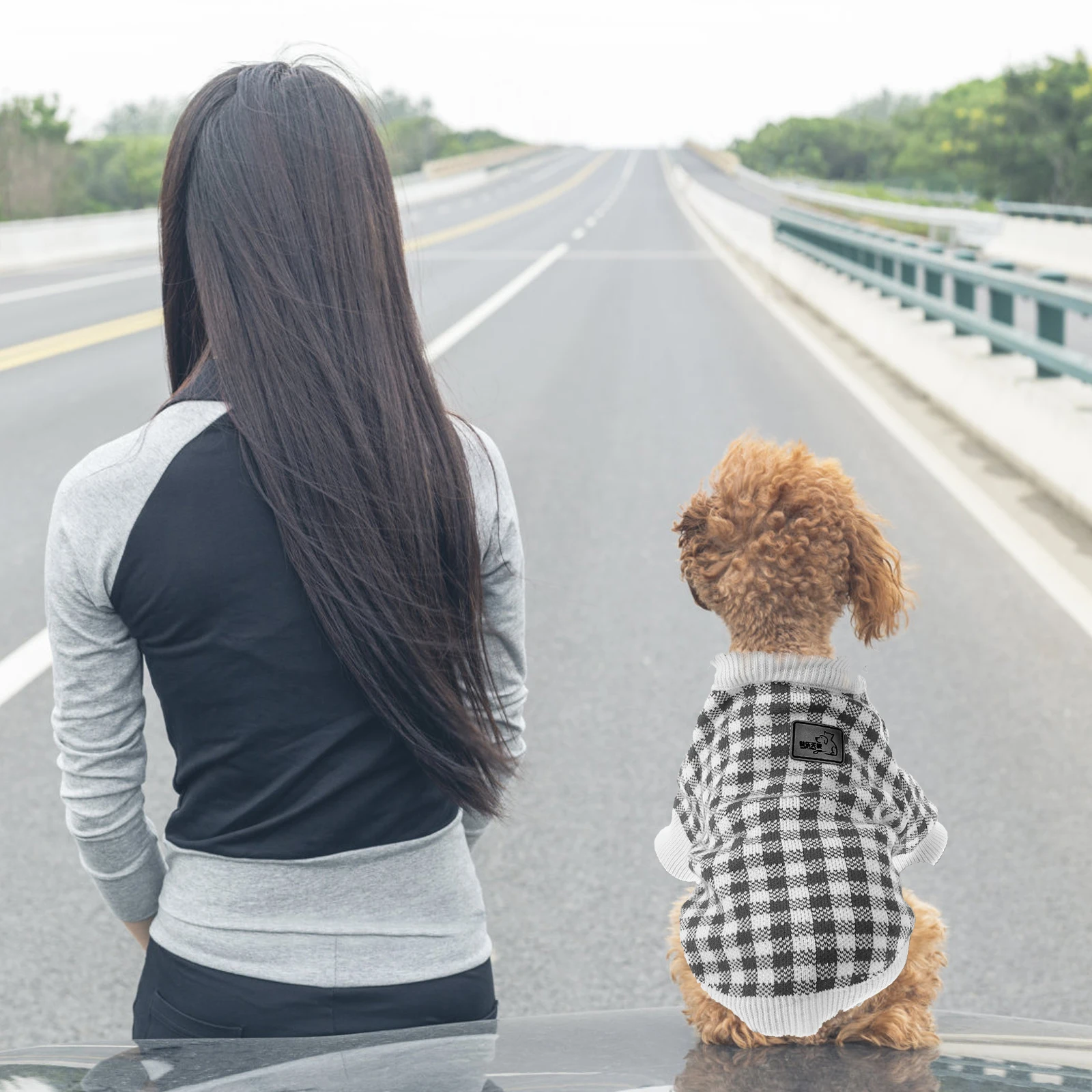 

Warm Round Neck Dog Sweater Cotton Knitted Winter Pet Clothes Small Medium Large Sizes Pet Supplies Outdoor Walking Jogging