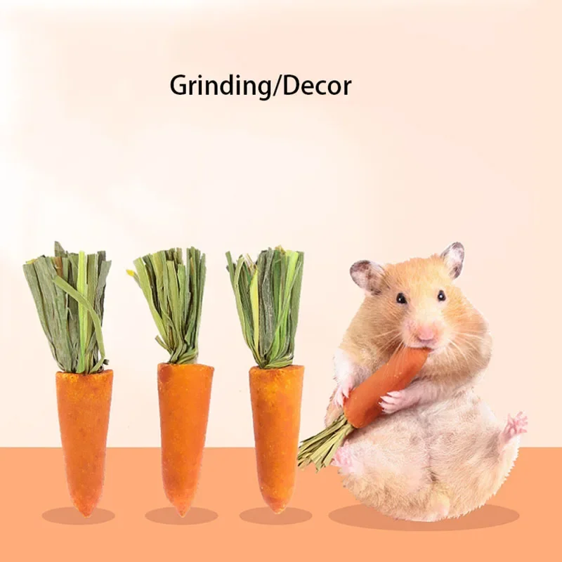 3pcs Guinea Pig Hamster Rabbit Teeth Fruit Grinding Small Pet Supplies Minerals Molar Stone Chew Toys for Chinchilla Dog Totoro view 2